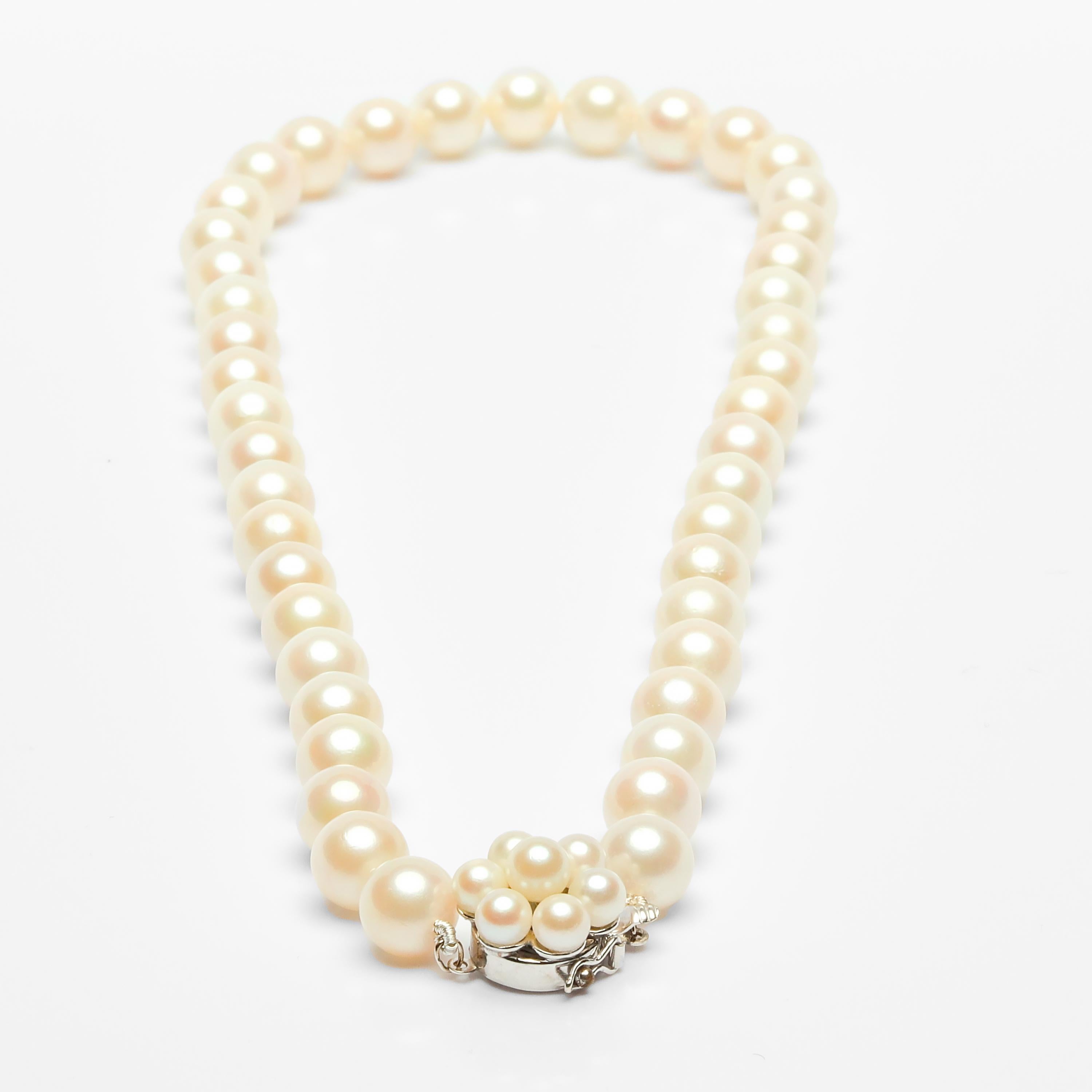 Vintage Akoya Pearl Necklace circa 1950s Thick Nacre & Classic Elegance 2