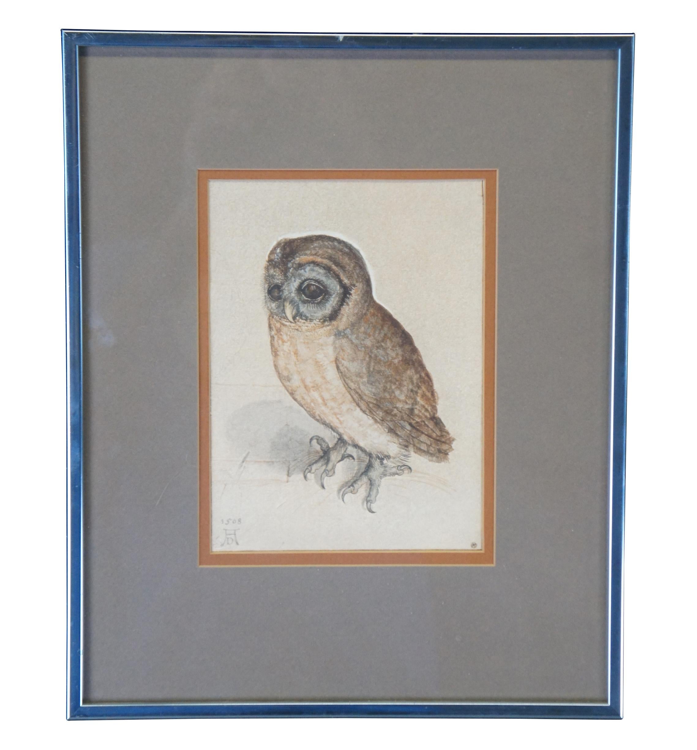 Vintage Albrecht Dürer Museum Reproductions Young Hare & Screech Owl Prints In Good Condition In Dayton, OH