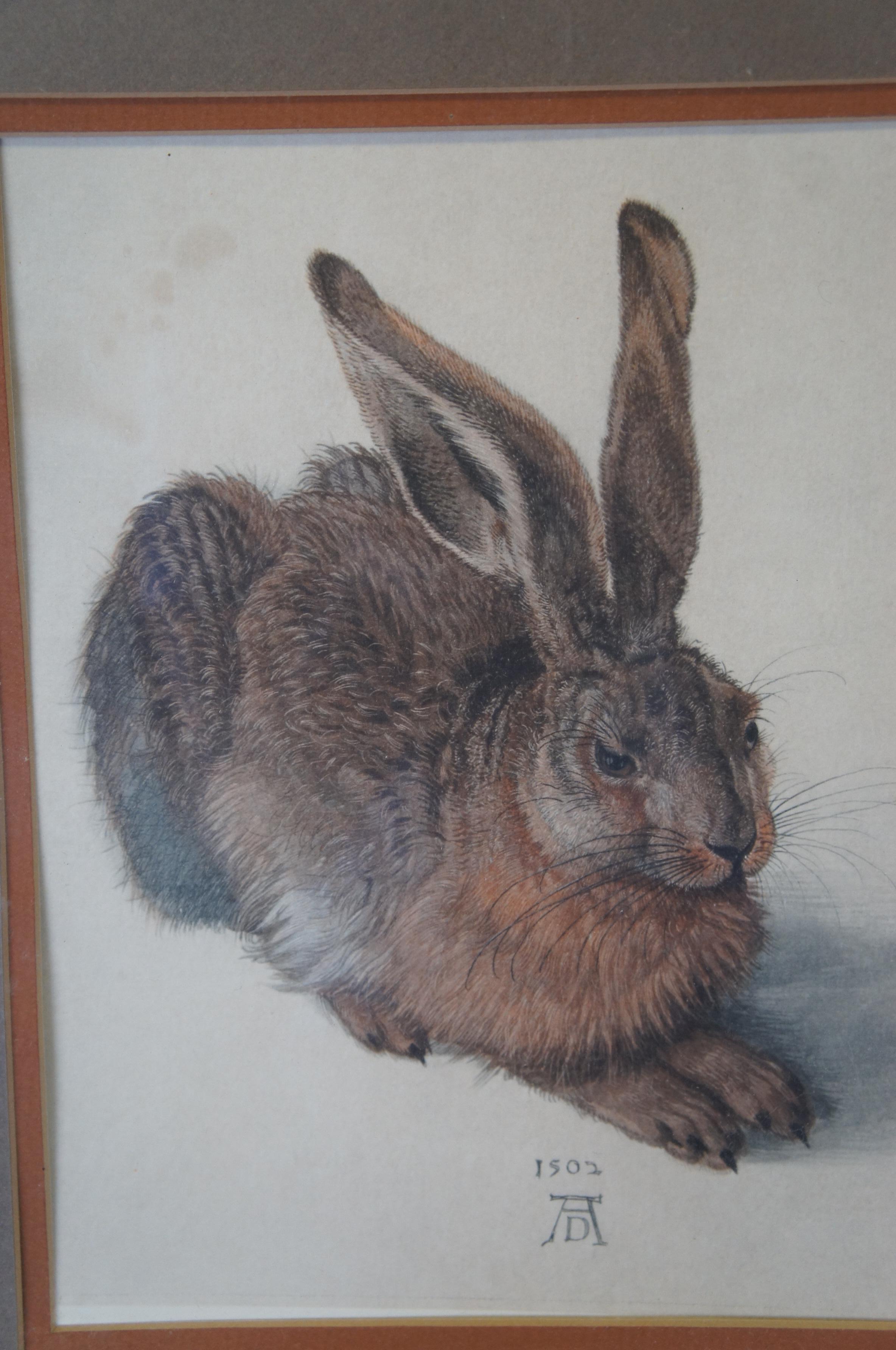 Vintage Albrecht Dürer Museum Reproductions Young Hare & Screech Owl Prints 1