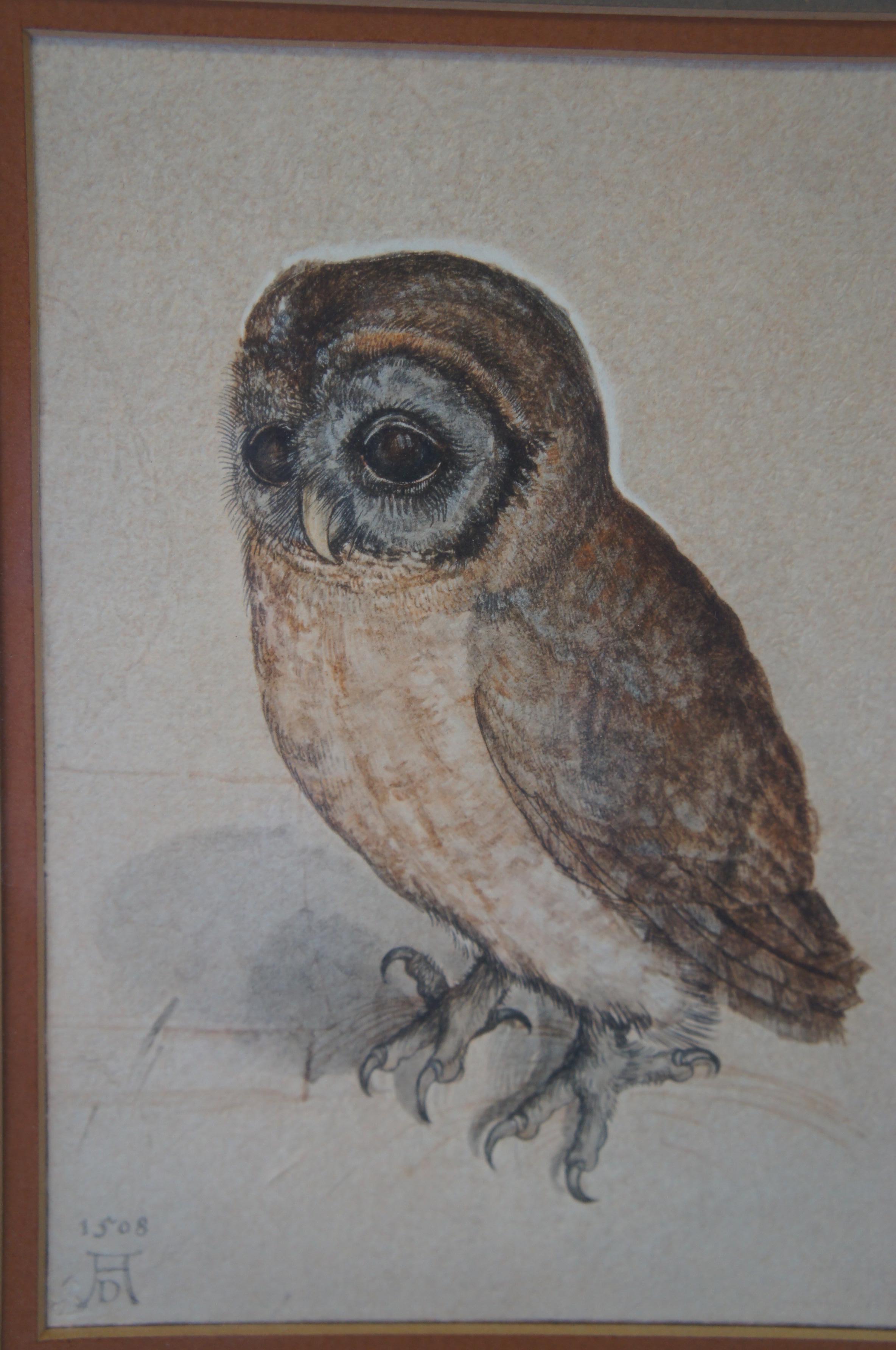 Vintage Albrecht Dürer Museum Reproductions Young Hare & Screech Owl Prints 2