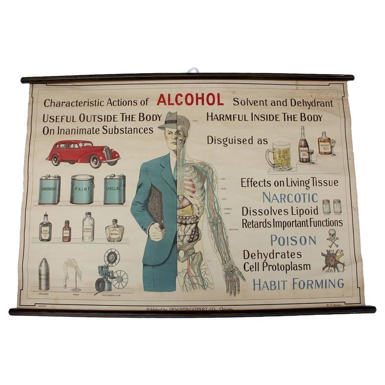 Vintage alcohol educational poster by Denoyer Geppert.