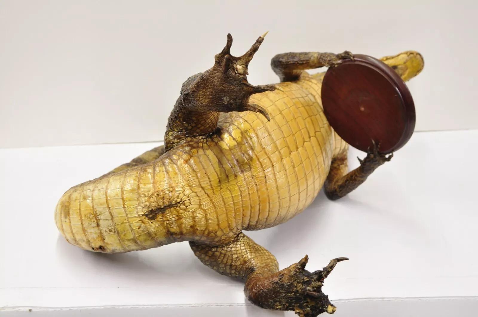 Vintage Alligator Kellner Stehend Ganzkörper Montage Taxidermie Aschenbecher Stand im Angebot 4