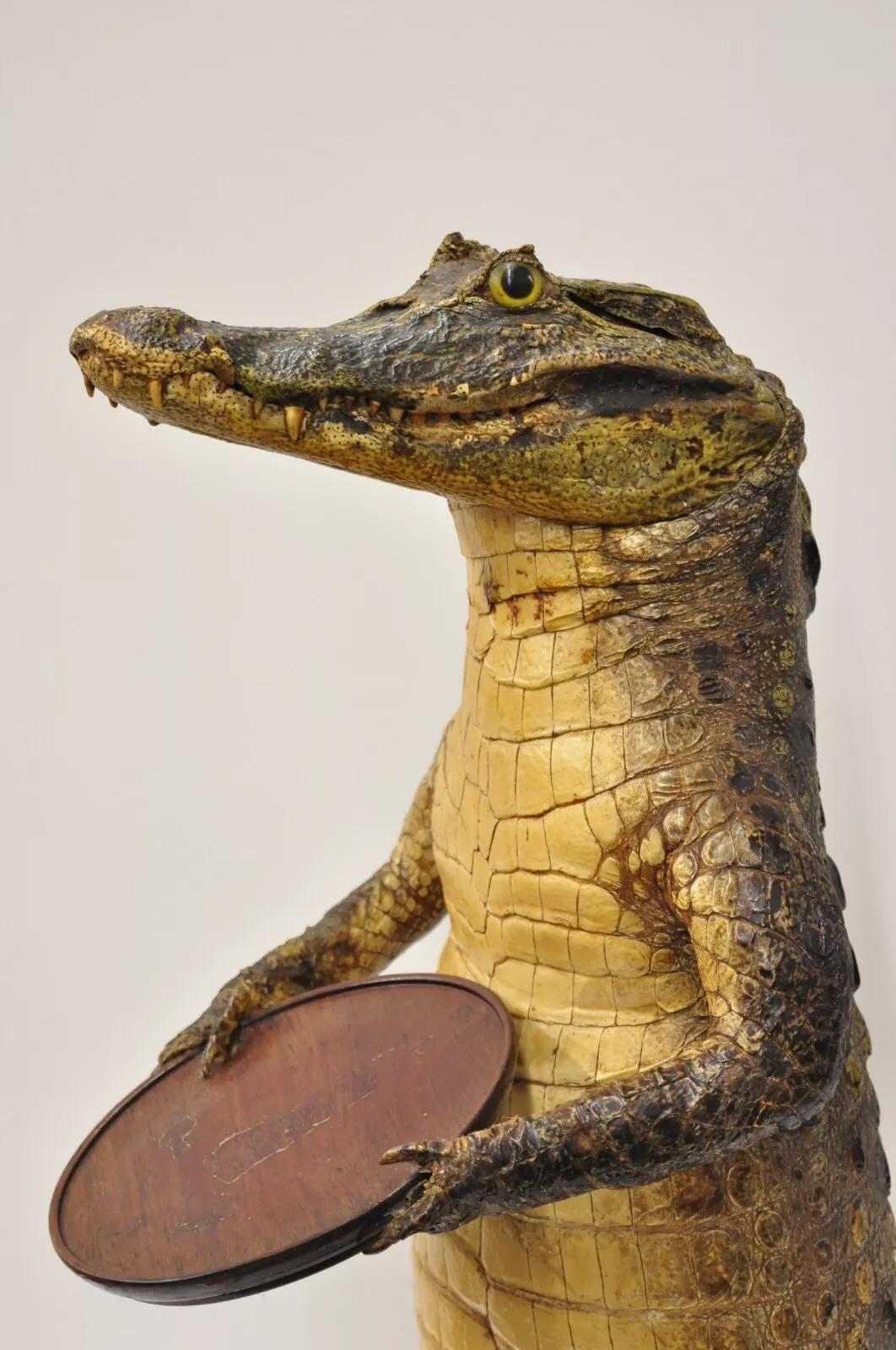 Vintage Alligator Kellner Stehend Ganzkörper Montage Taxidermie Aschenbecher Stand im Angebot 5