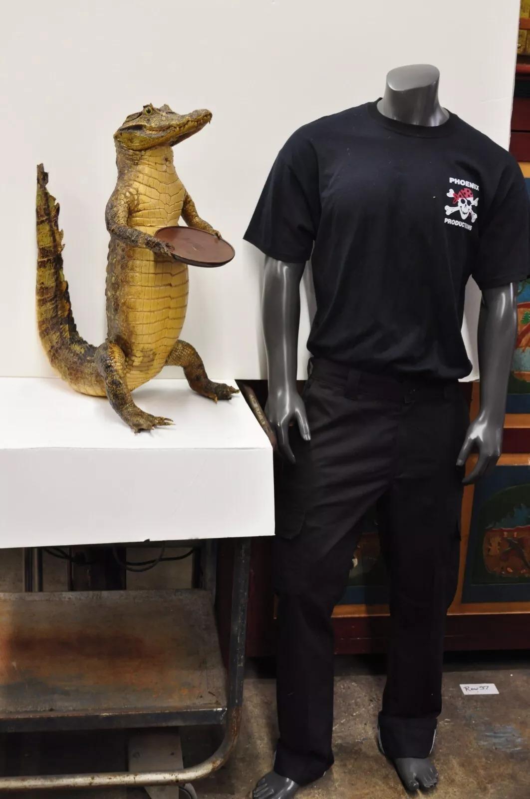 Vintage Alligator Kellner Standing Full Body Mount Taxidermie Aschenbecher Stand. CIRCA Anfang des 20. Jahrhunderts. Abmessungen (gesamt): 25