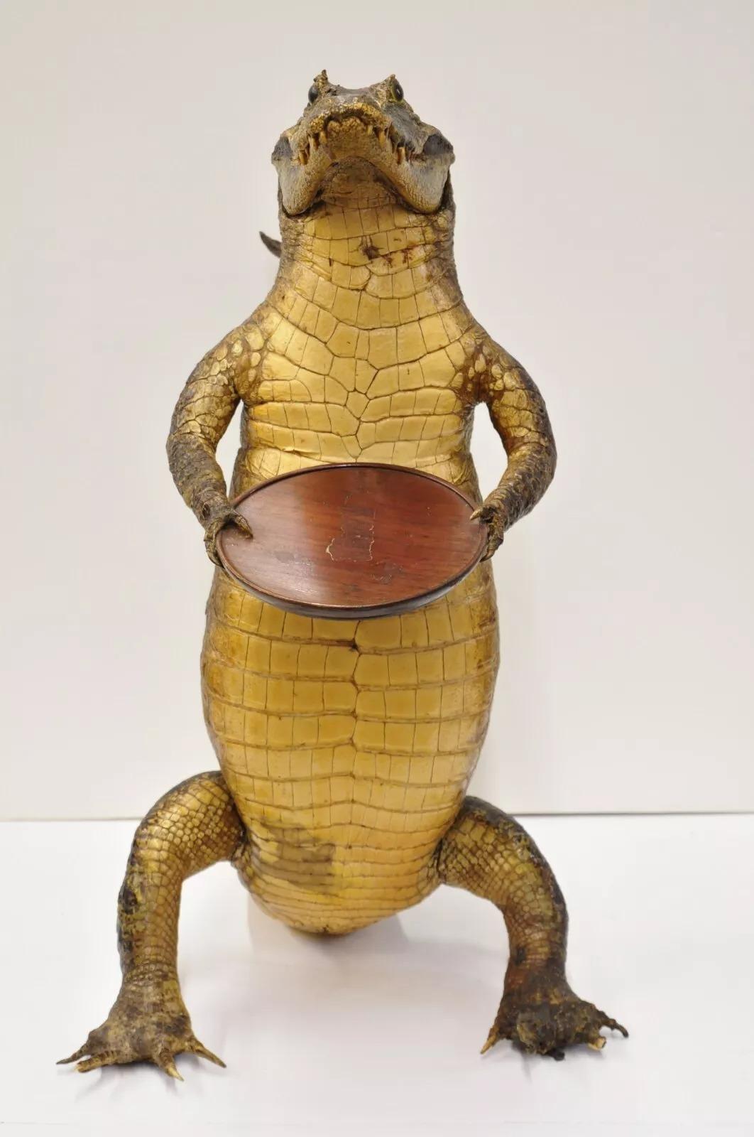 Vintage Alligator Kellner Stehend Ganzkörper Montage Taxidermie Aschenbecher Stand (Rustikal) im Angebot