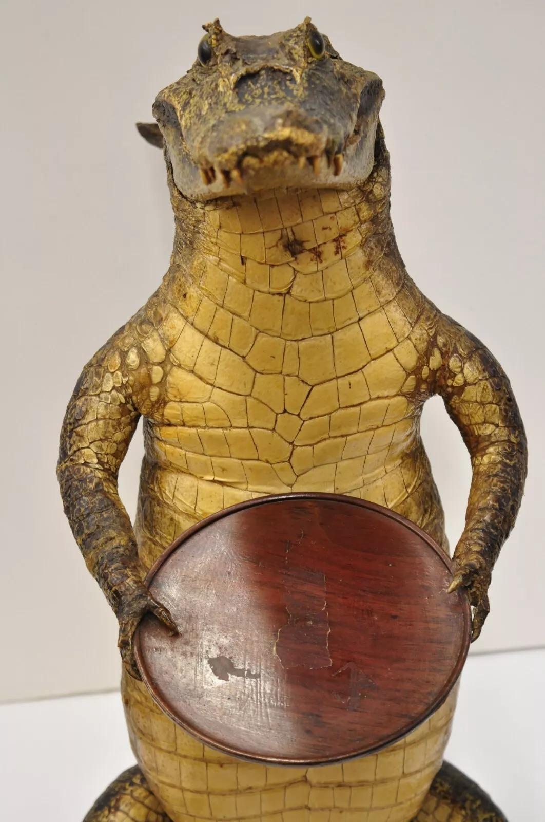 Vintage Alligator Kellner Stehend Ganzkörper Montage Taxidermie Aschenbecher Stand (Holz) im Angebot