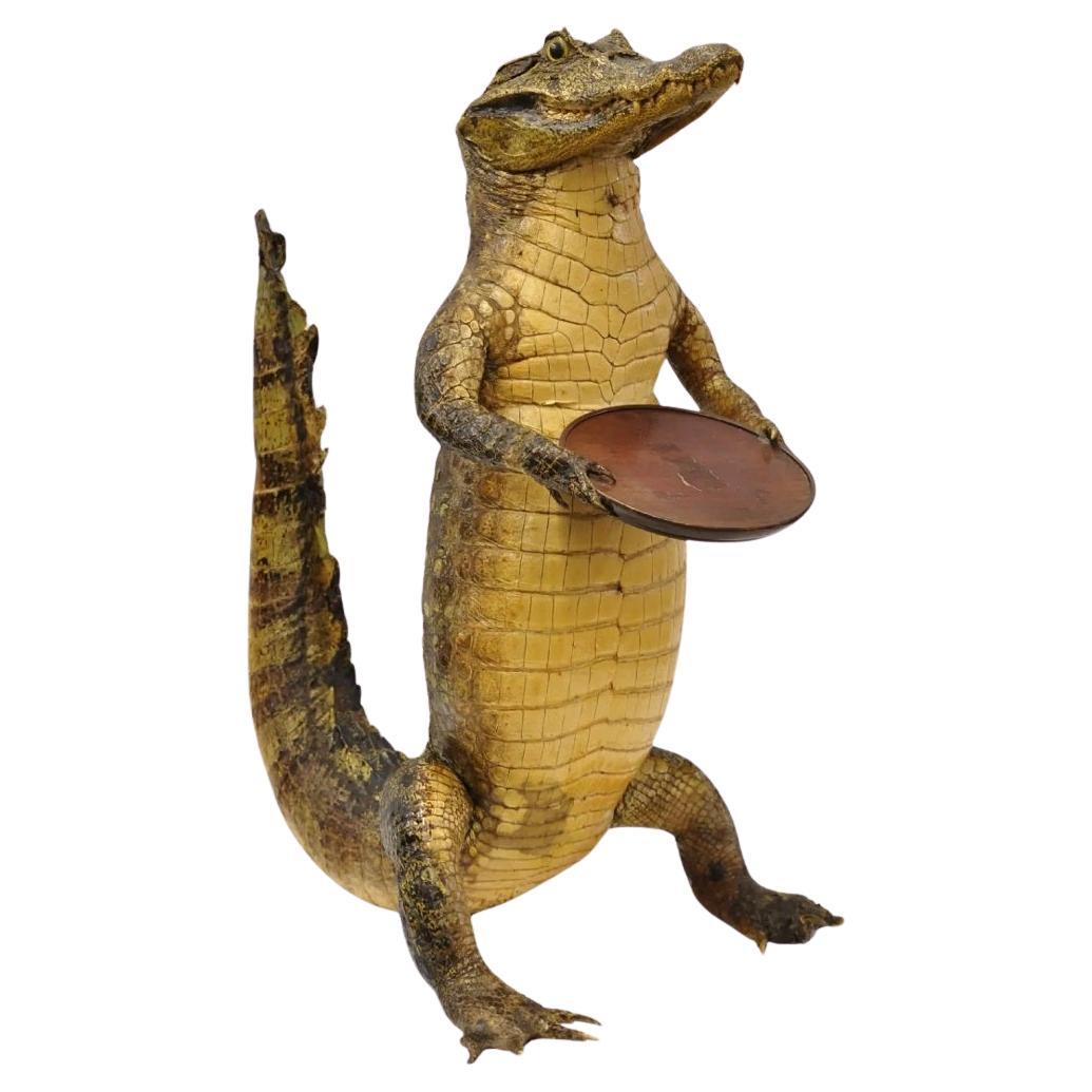 Vintage Alligator Kellner Stehend Ganzkörper Montage Taxidermie Aschenbecher Stand