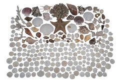 Vintage Amen Wardy Salmon Salad Centerpiece Bowl & Sea Shell Collection