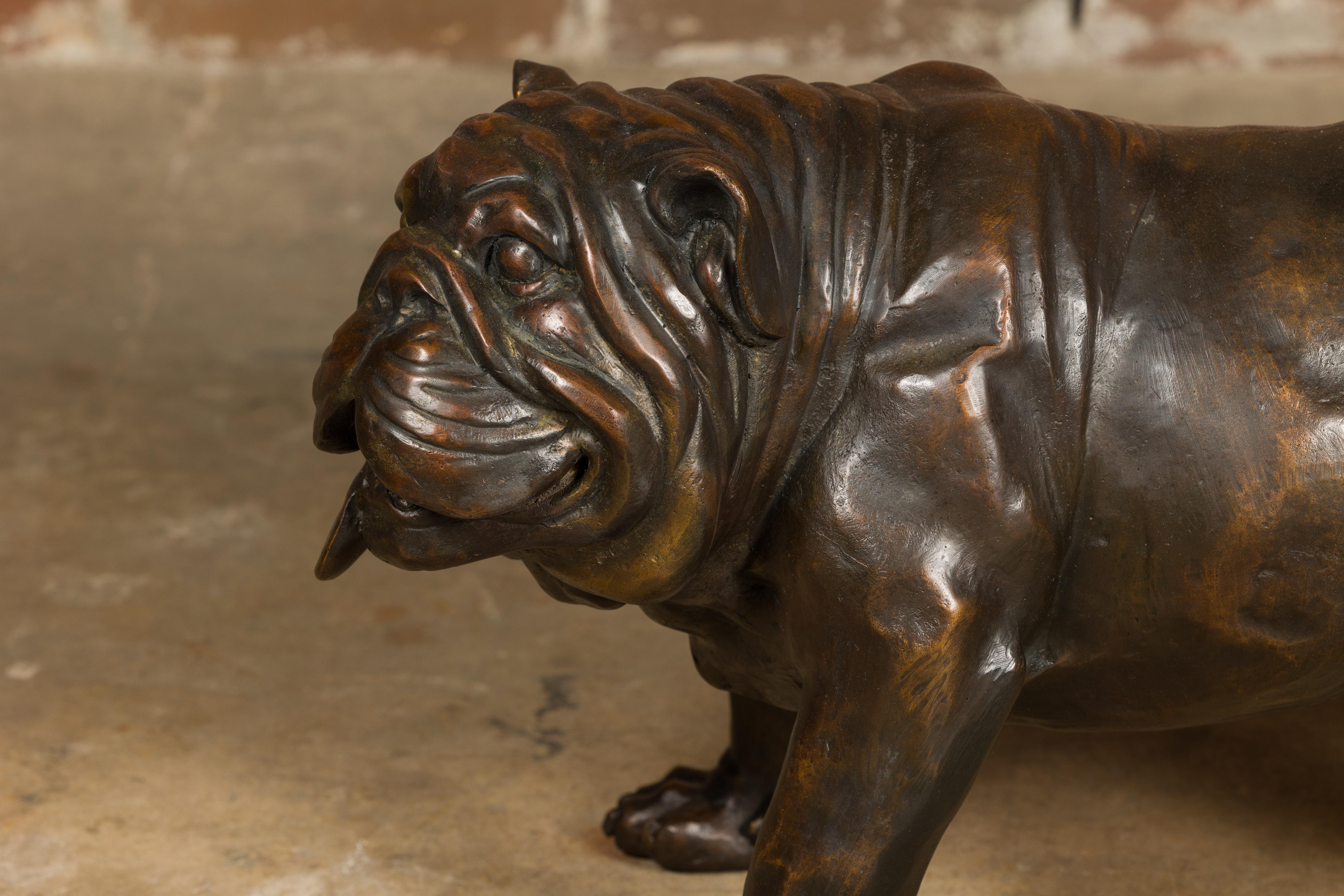 Vintage American Art Life-Size Bronze Bulldog Sculpture  For Sale 3