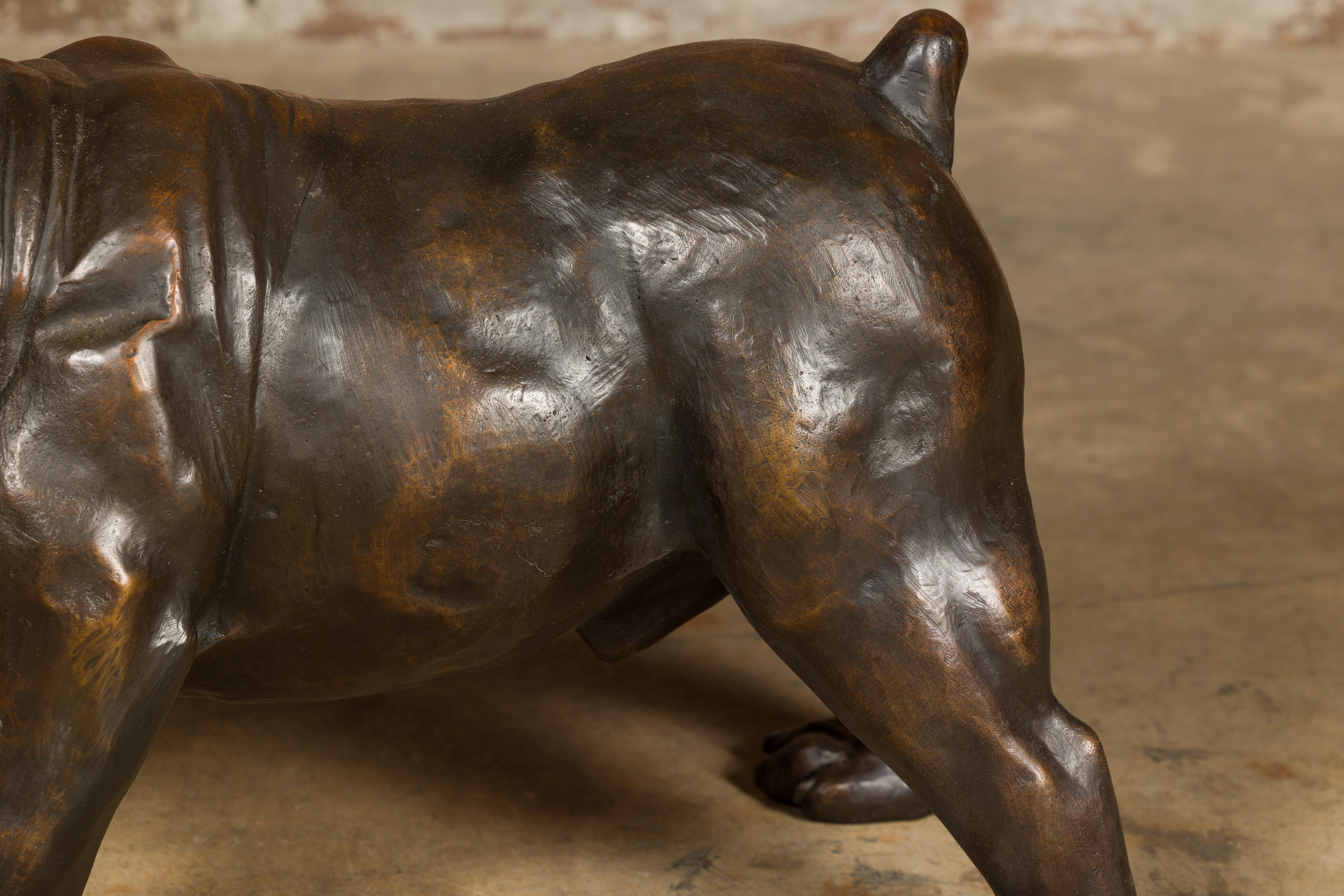 Vintage American Art Life-Size Bronze Bulldog Sculpture  For Sale 4