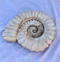 Vintage Ammonite of Cast Stone