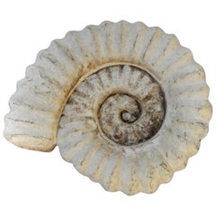 Vintage Ammonite of Cast Stone