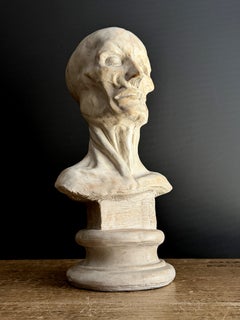 Vintage Anatomical Écorché Study Model, Bust on Pedestal 1970s