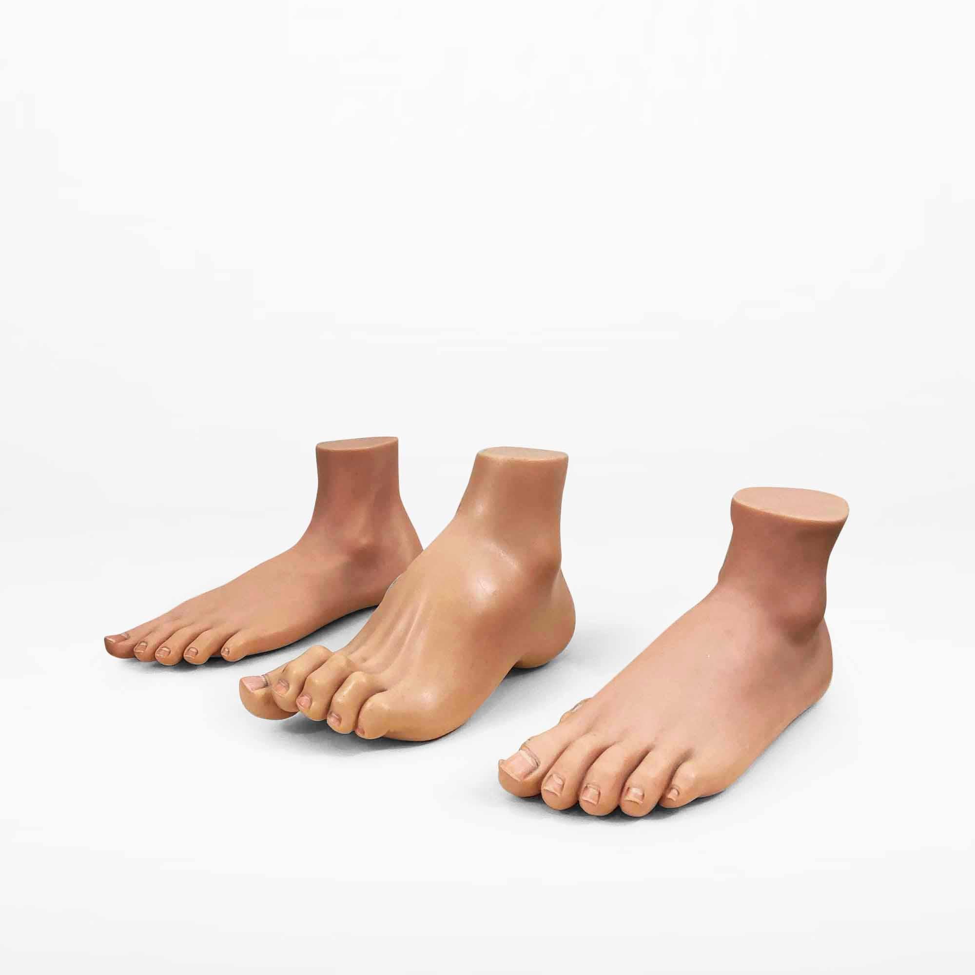 European Vintage Anatomical Model of 3 Human Feet, Set of 3
