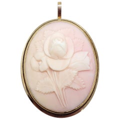 Antique Angel Skin Coral Cameo Brooch/Pin and Pendant in 14 Karat Gold Bezel