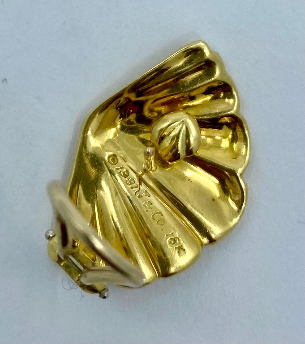 gold scallop earrings