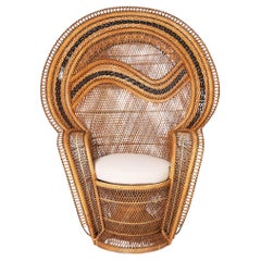 Vintage Anglo Indian Peacock Chair