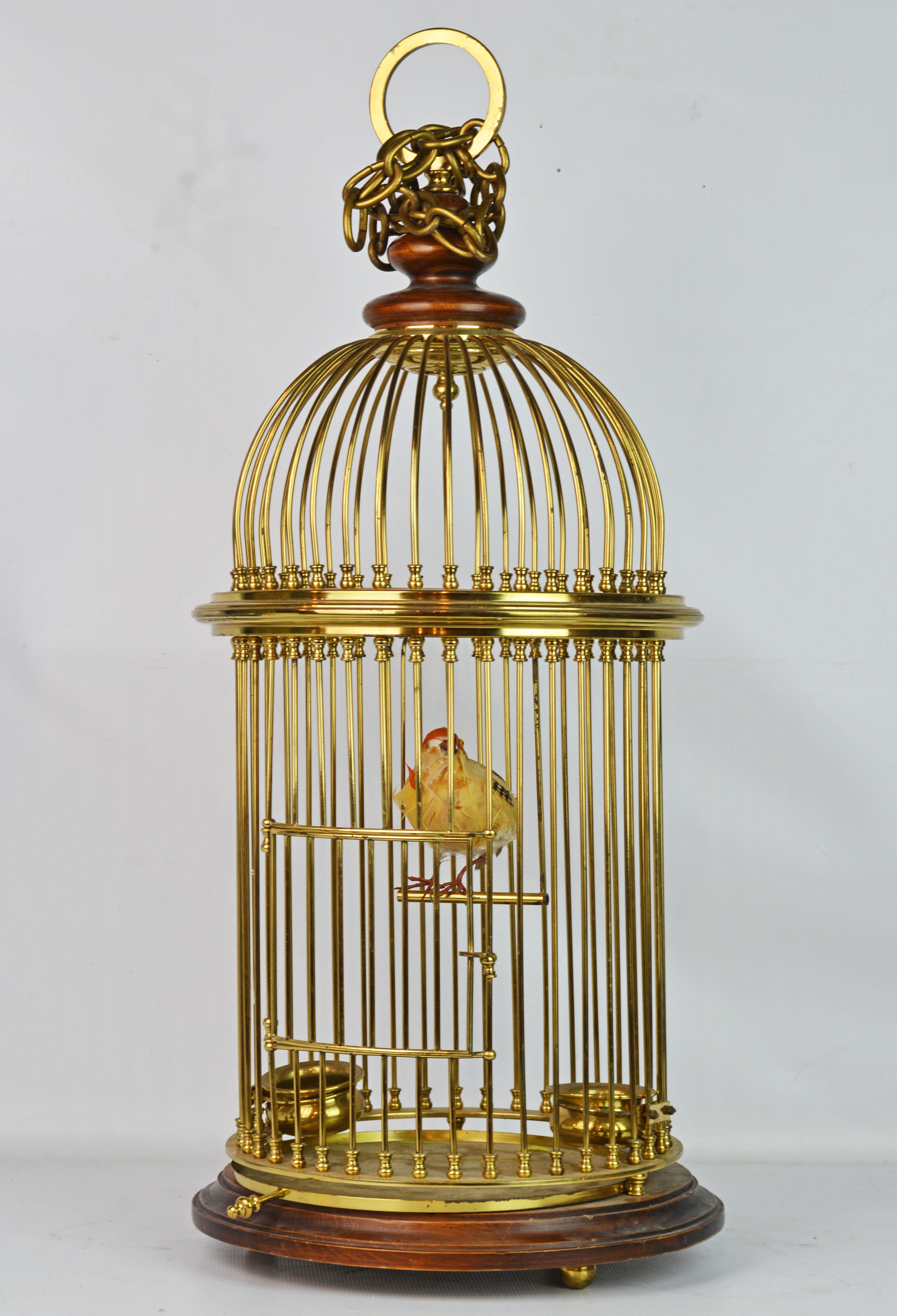 Made with great craftsmanship of solid brass this bird cage sits on a circular carved base and is surmounted by a turned wood finial to which a chain for hanging is mounted. The bird perched on a swing inside the cage is a model of a tropical
