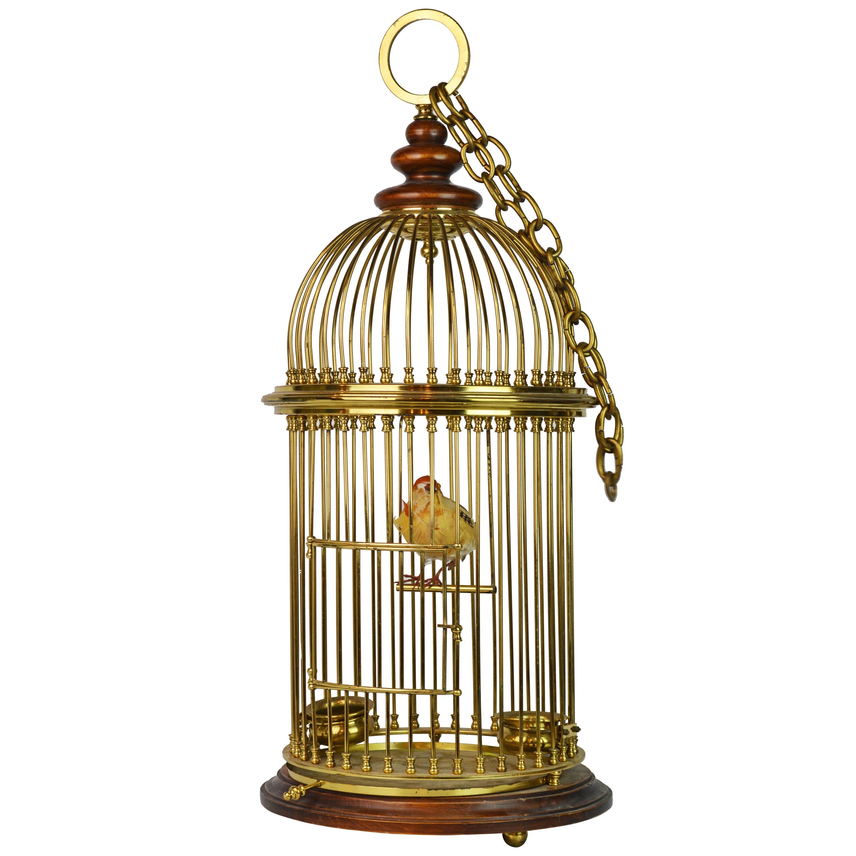 Vintage Anglo Indian Solid Brass and Wood Domed Bird Cage with Bird