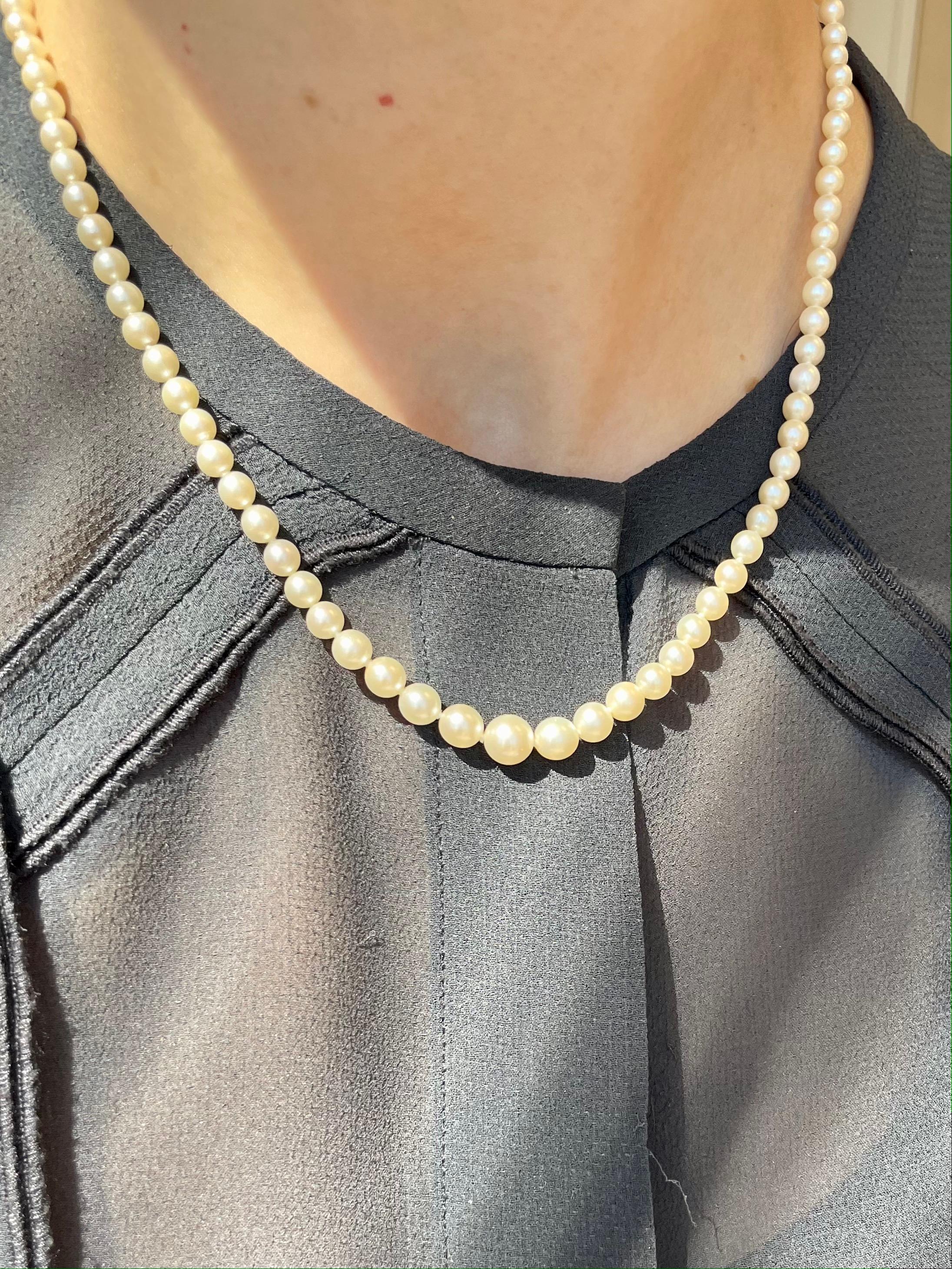 Vintage Antique Mikimoto Pearl Graduated Necklace with Original Box For Sale 3