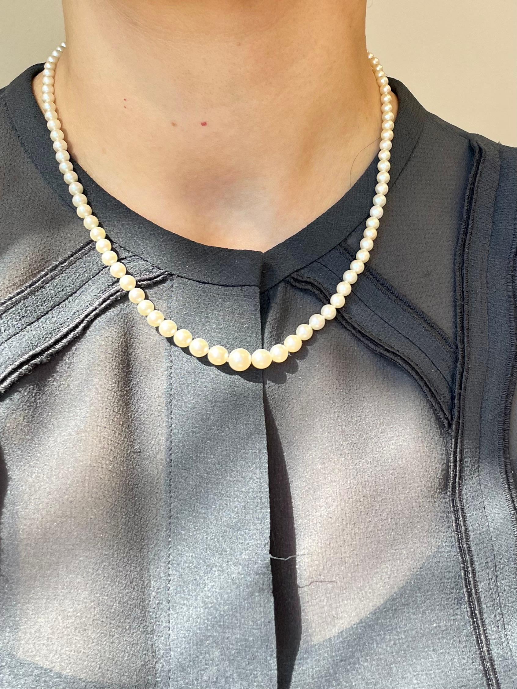 Vintage Antique Mikimoto Pearl Graduated Necklace with Original Box For Sale 4