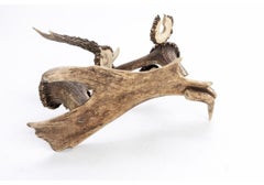 Vintage Antler Pipe Stand