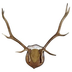 Estantería Vintage Antler Montada