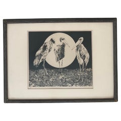 Vintage Aquatint Etching "3 Storks" by Jack Coughlin
