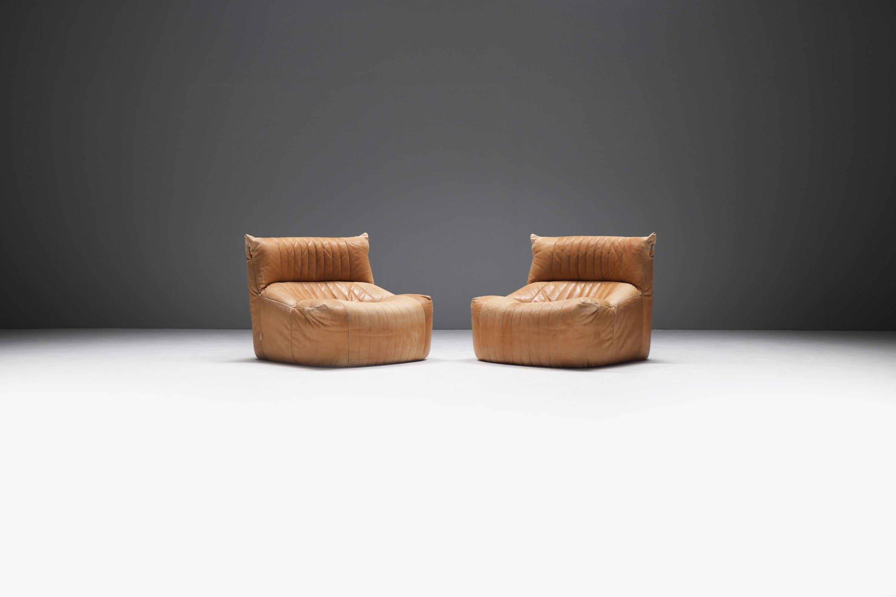 Vintage ARALIA set in original cognac leather by Michel Ducaroy for Ligne Roset For Sale 9