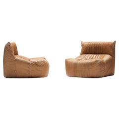 Retro ARALIA set in original cognac leather by Michel Ducaroy for Ligne Roset