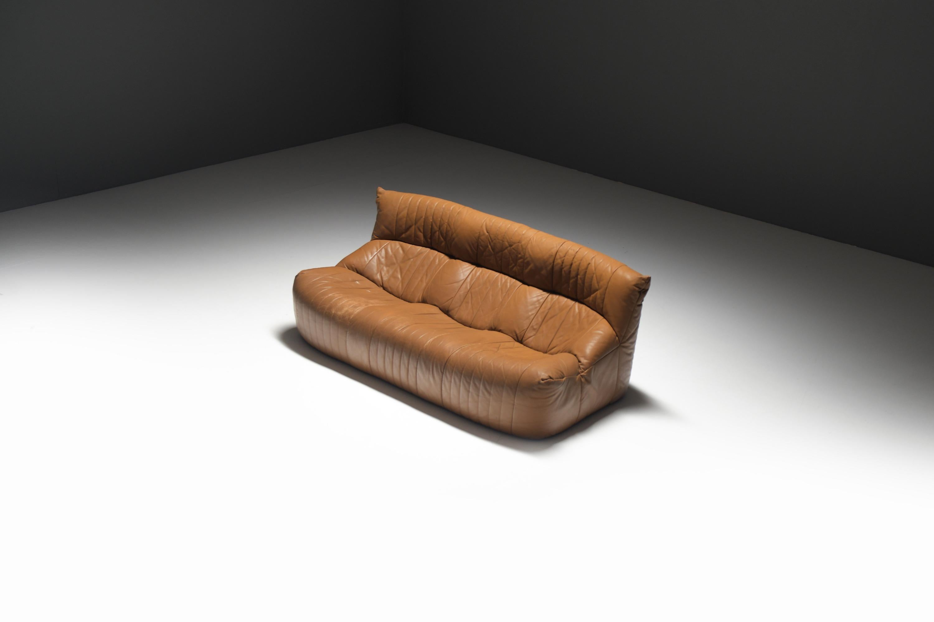 Mid-Century Modern Vintage Aralia sofa in original cognac leather by Michel Ducaroy for Ligne Roset