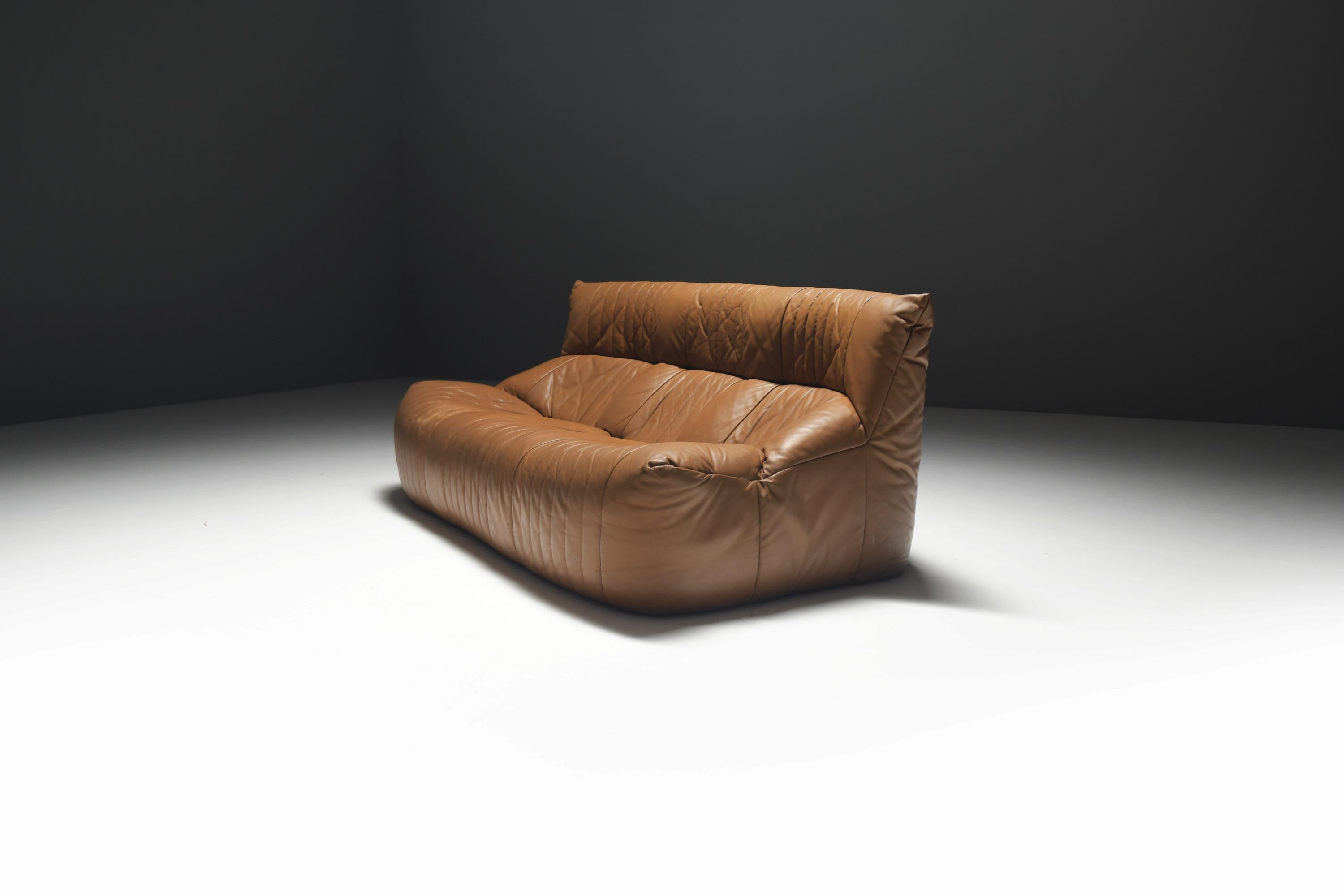 French Vintage Aralia sofa in original cognac leather by Michel Ducaroy for Ligne Roset