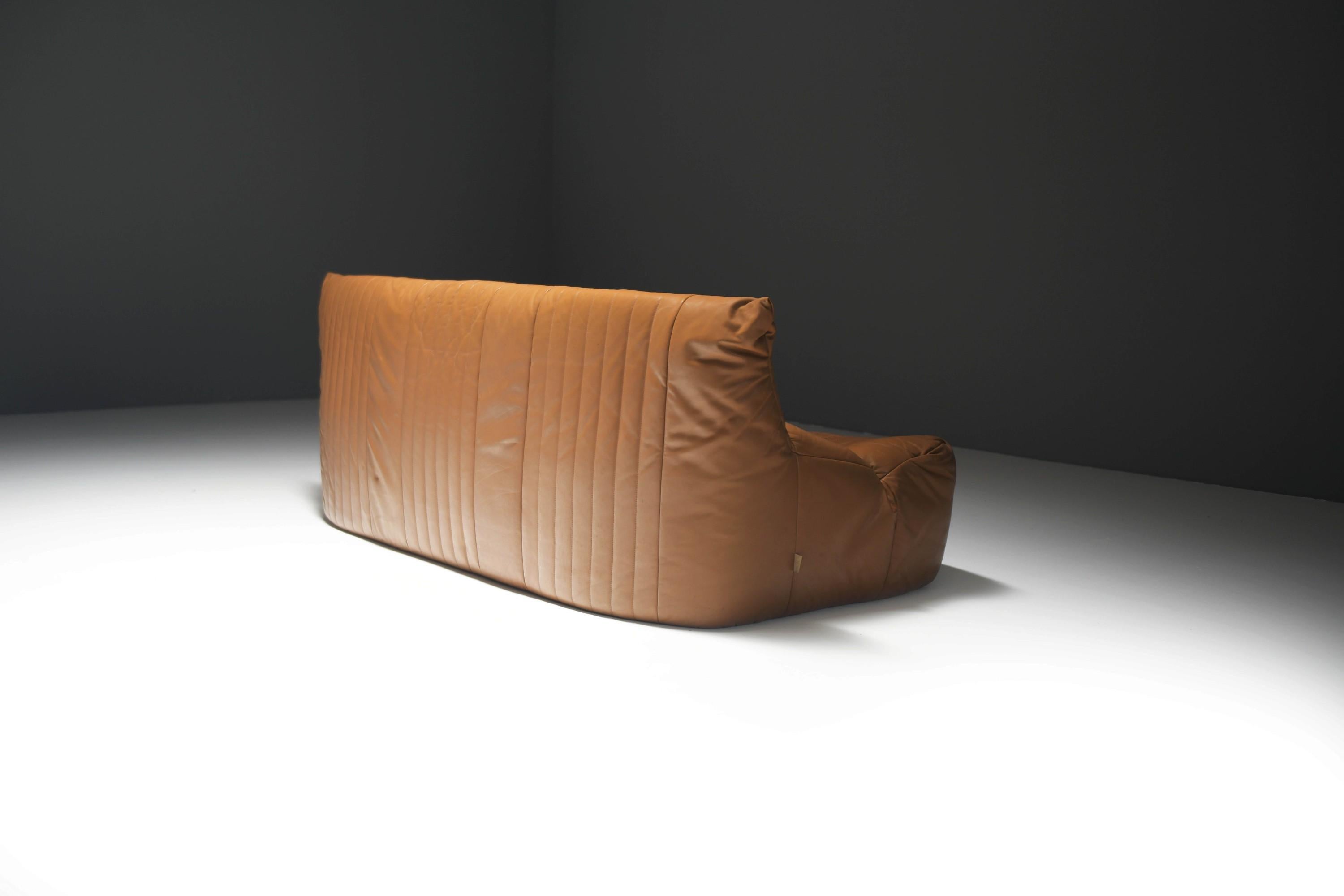 Vintage Aralia sofa in original cognac leather by Michel Ducaroy for Ligne Roset 1