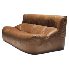 Vintage Aralia sofa in original cognac leather by Michel Ducaroy for Ligne Roset