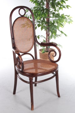 Vintage Armchair by Michael Thonet for Jacob & Josef Kohn