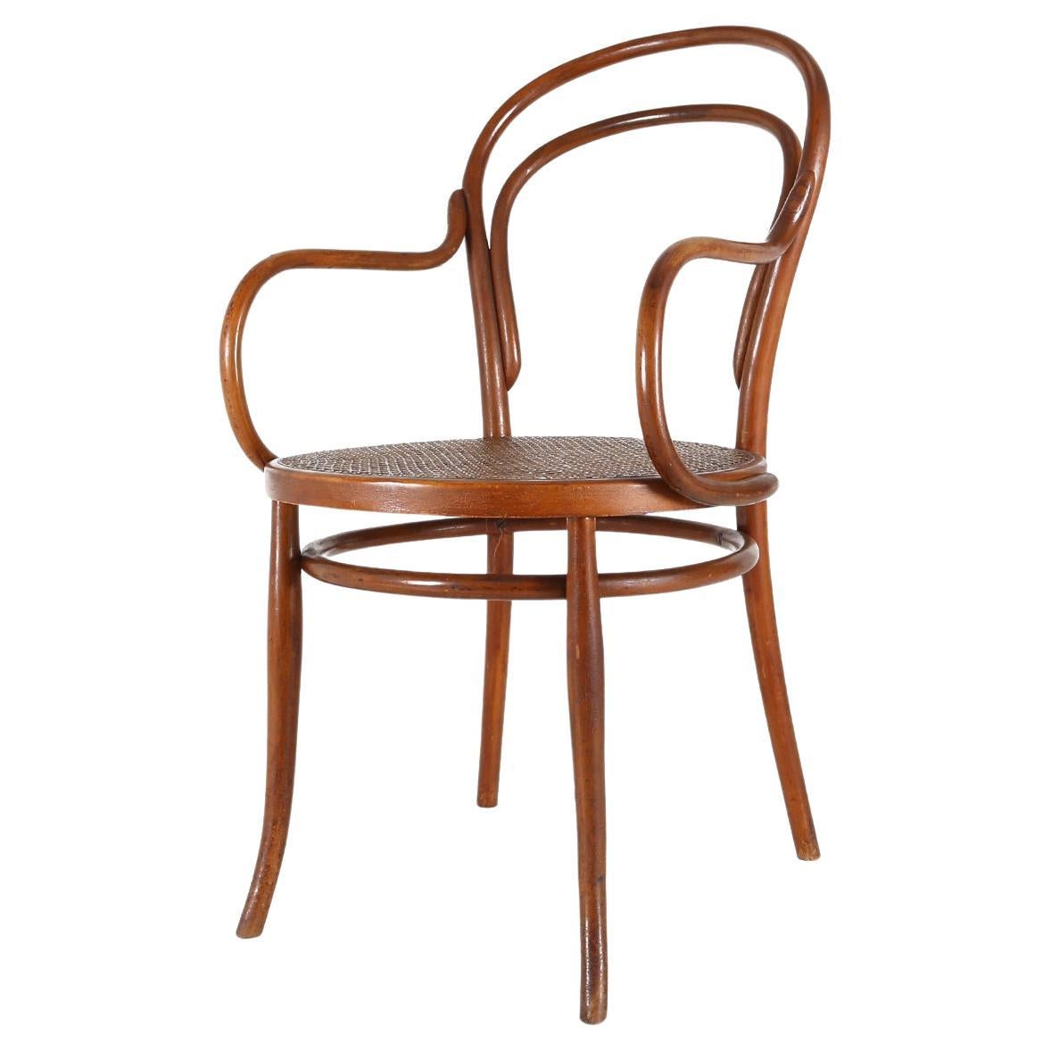 Vintage armchair in bentwood with canework, France ca. 1950 For Sale