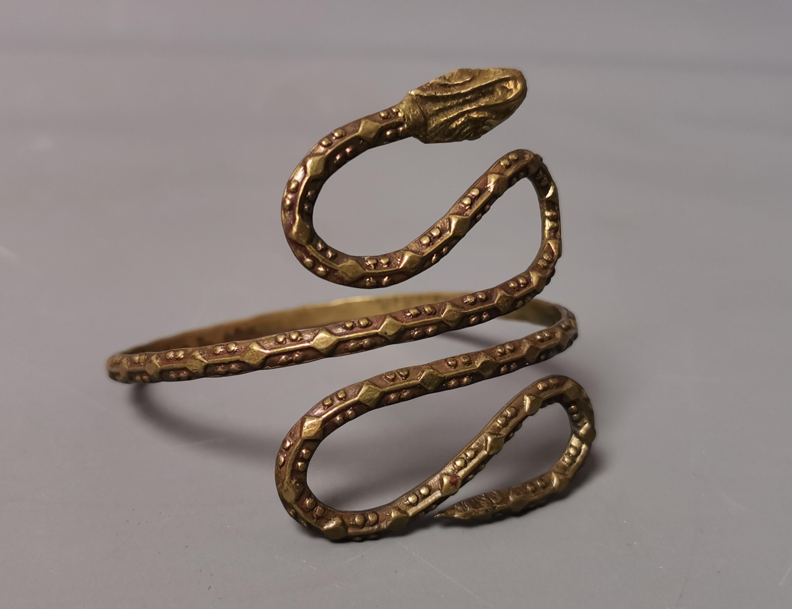 snake wrapped around png
