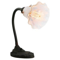 Vintage Art Deco Cast Iron Holophane Glass Table Desk Light