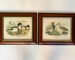 Vintage Art Vintage Pair of Duck Prints 1980 Signed And Framed Belgium 1980s