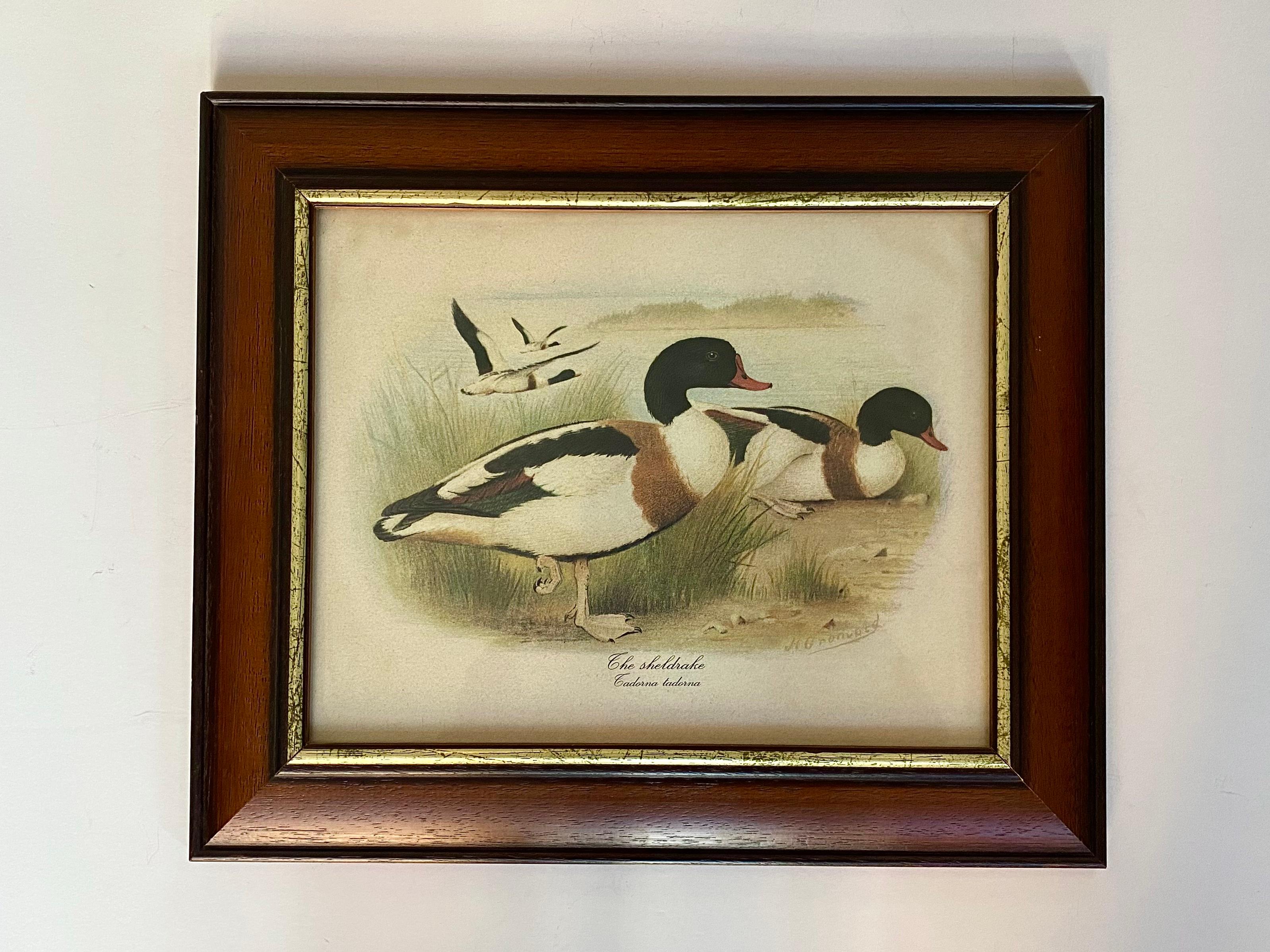 Belge Art Vintage Paire d'estampes de canards 1980 Signée et encadrée Belgique années 1980 en vente