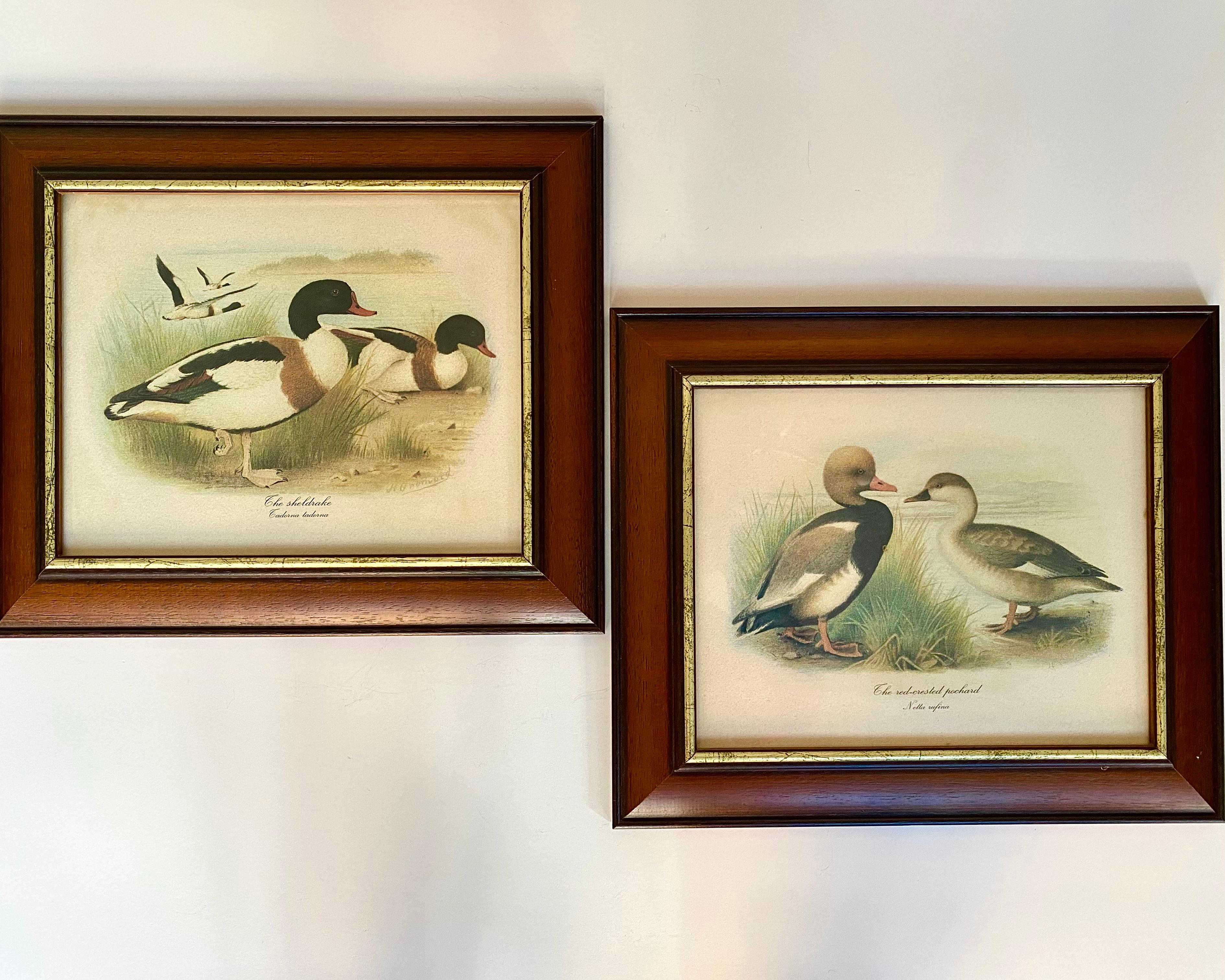 Fin du 20e siècle Art Vintage Paire d'estampes de canards 1980 Signée et encadrée Belgique années 1980 en vente