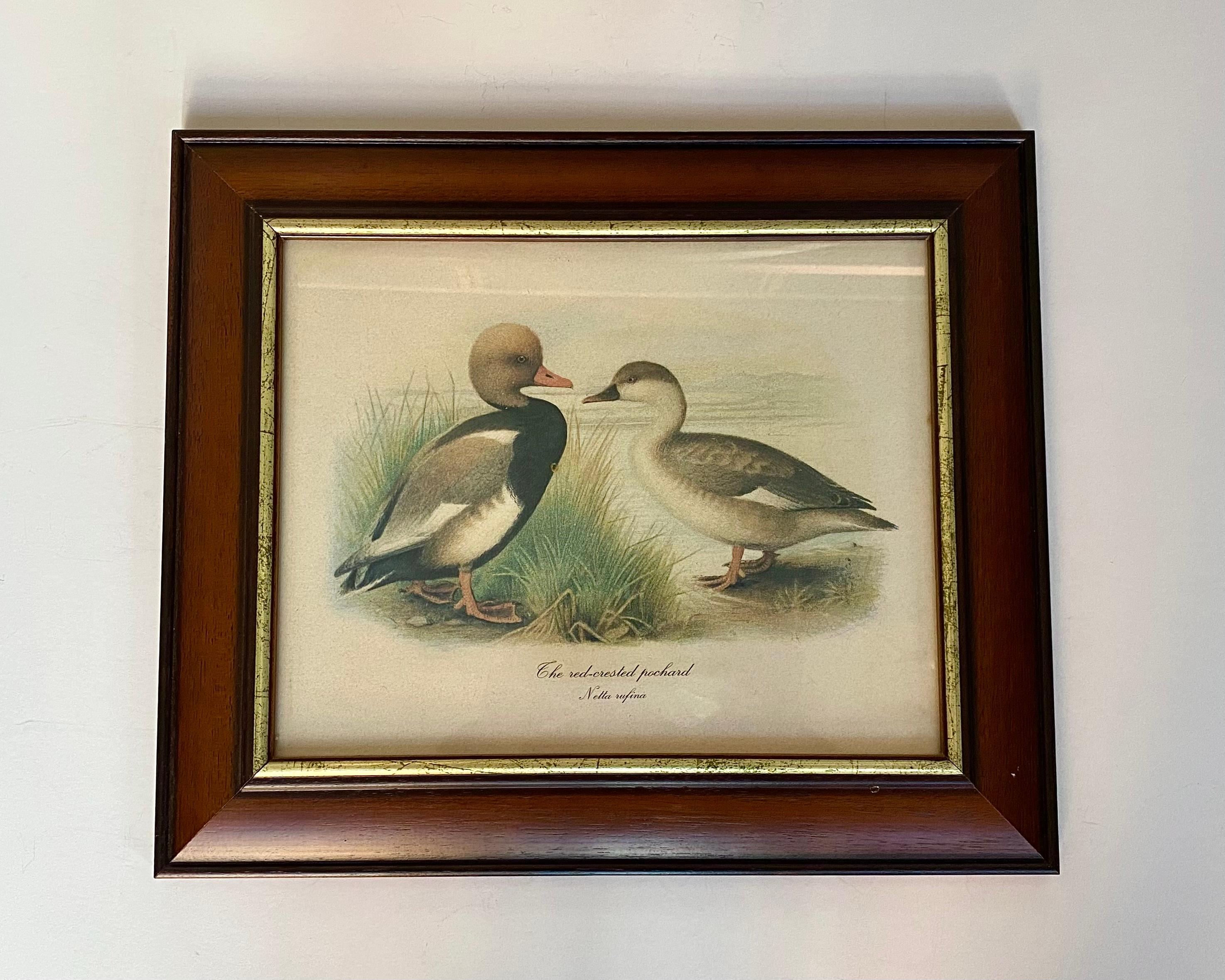 Bois Art Vintage Paire d'estampes de canards 1980 Signée et encadrée Belgique années 1980 en vente