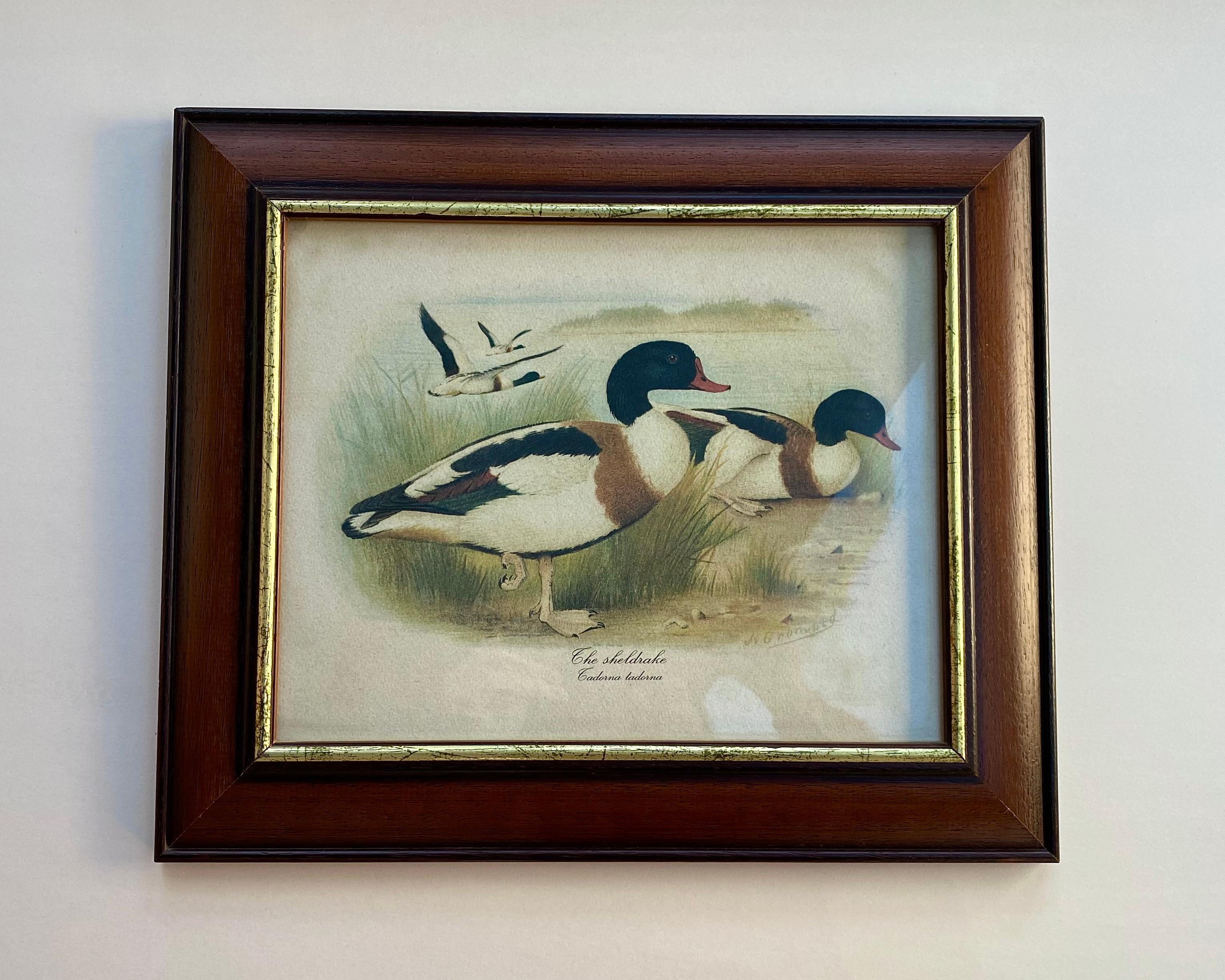 Wood Vintage Art Vintage Pair of Duck Prints 1980 Signed And Framed Belgium 1980s For Sale