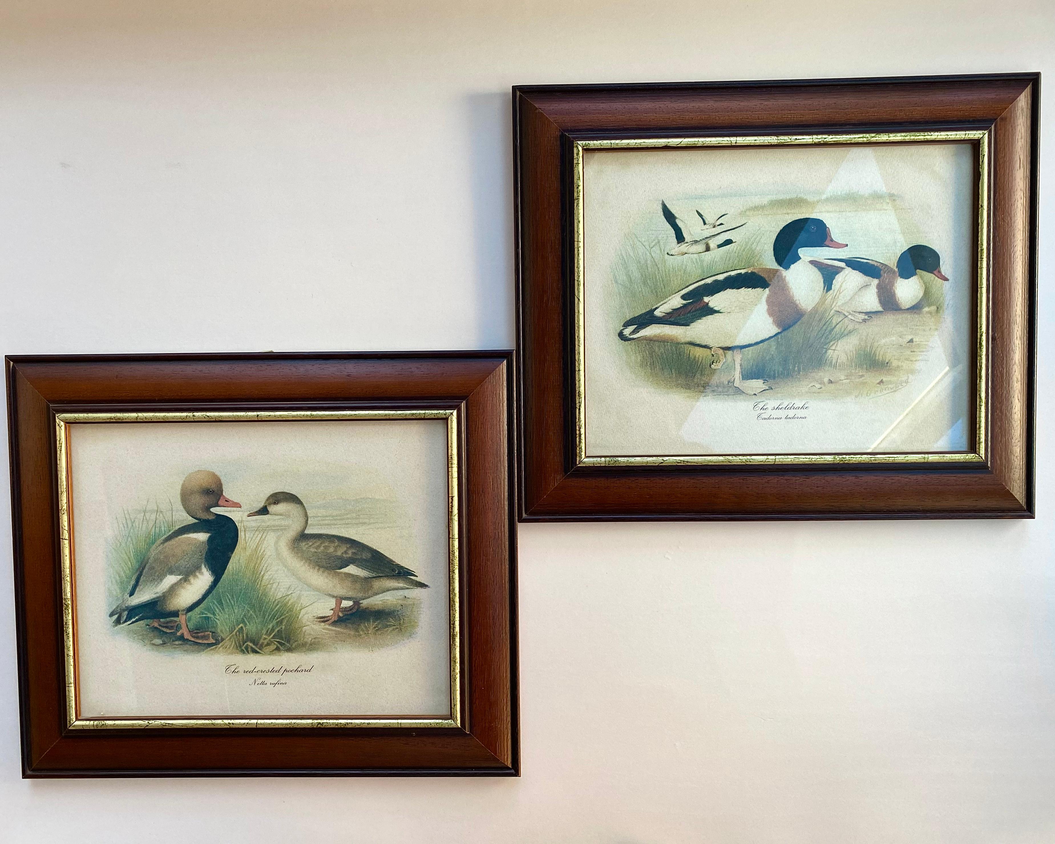 Vintage Art Vintage Pair of Duck Prints 1980 Signed And Framed Belgium 1980s 2