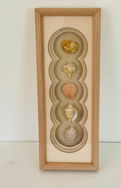 Concha de mar artesana vintage