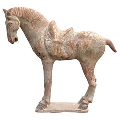 Asiatische Terrakotta-Pferd aus der Tang-Dynastie des 19. Jahrhunderts