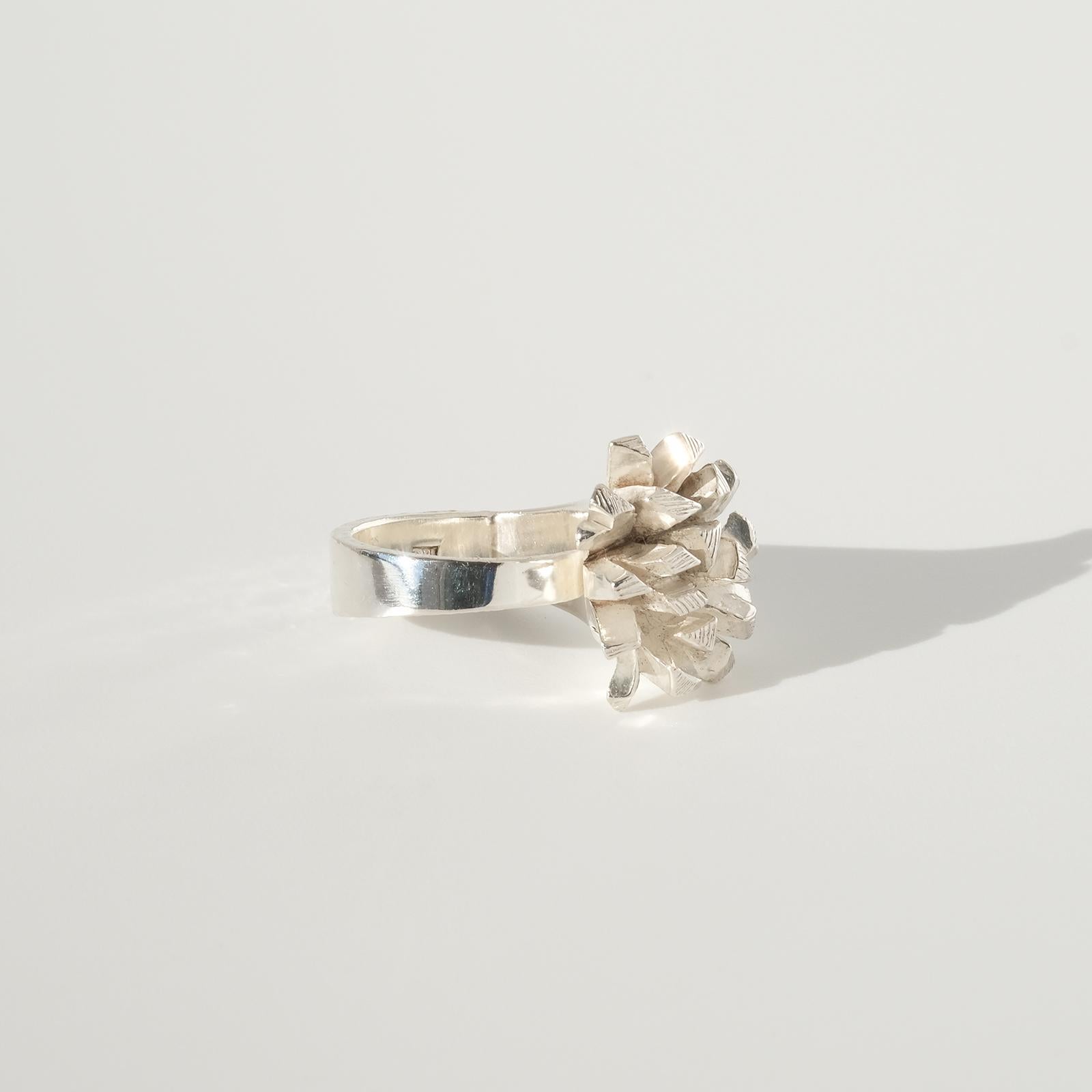 Dieser Ring aus Sterlingsilber hat eine ungewöhnliche und verspielte Form, die sowohl rund als auch diagonal gebogen ist.

Der verspielte und silbern glänzende Ring verleiht jedem Outfit den letzten Schliff, aber am besten passt er wohl zu einem