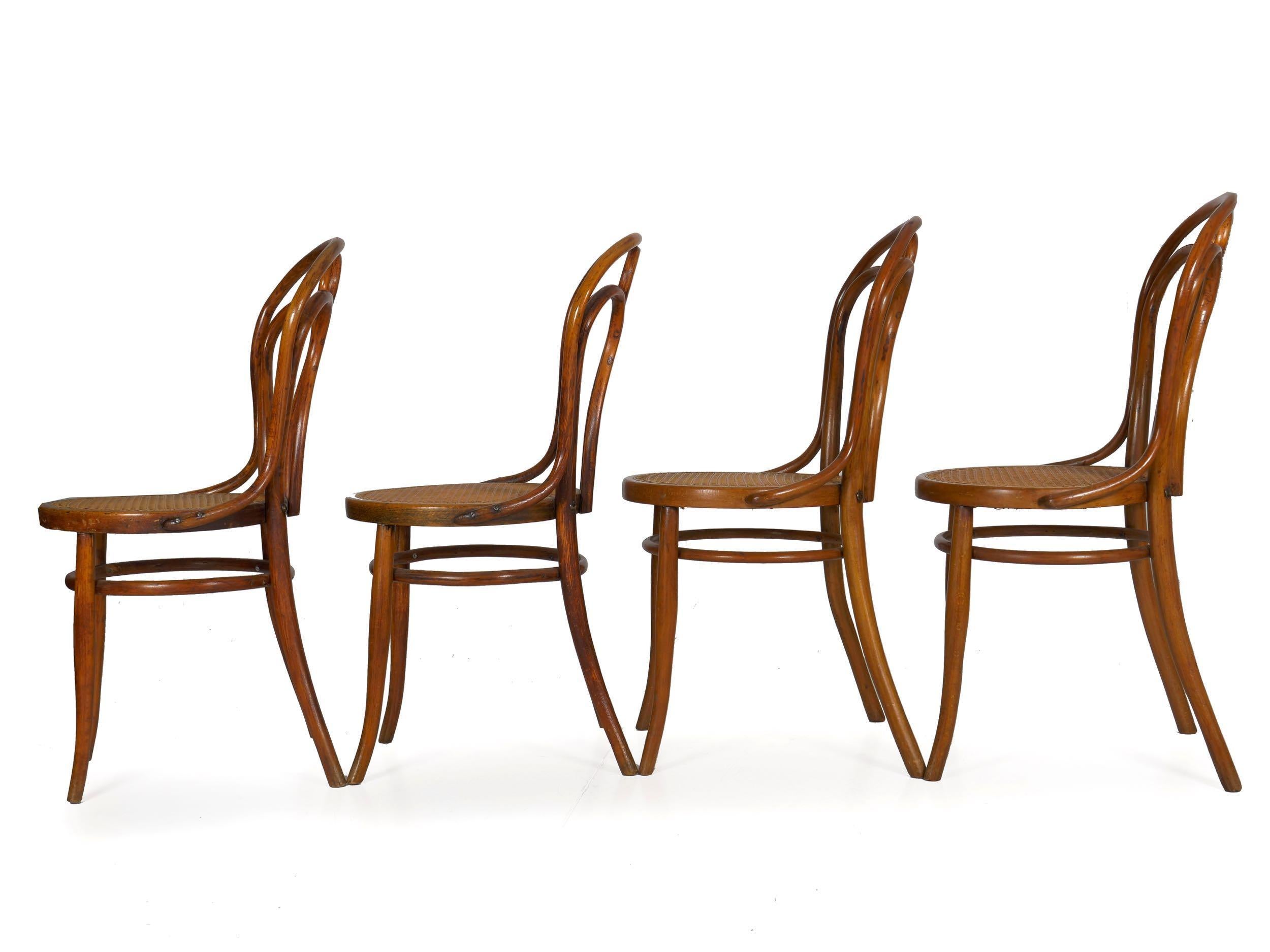 Cane Vintage Austrian Bentwood No. 36 Dining Bistro Chairs by Josef Kohn, Set of 4