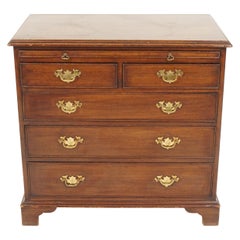 Antique Bachelor Chest, Solid Walnut, 5 Drawer Dresser, Scotland 1920