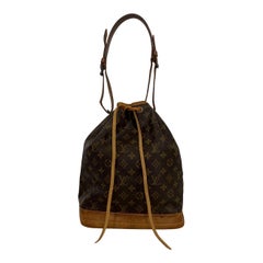 Retro Bag  Louis Vuitton Noé Monogram Canvas